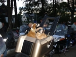 DSC01866.JPG