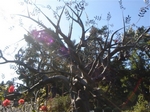 DSC01190.JPG