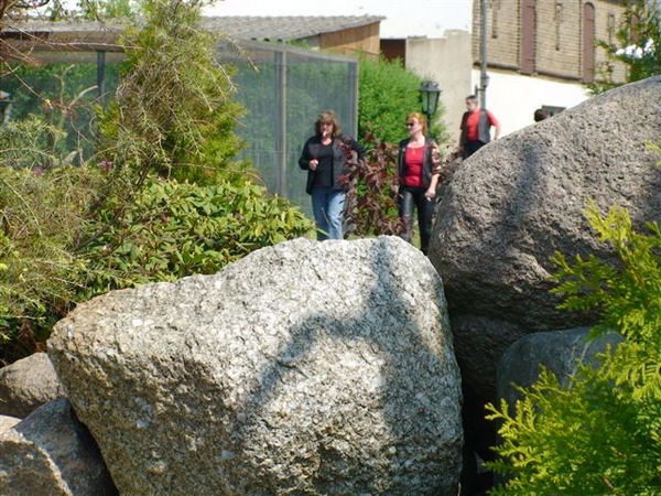 DSC01374.JPG