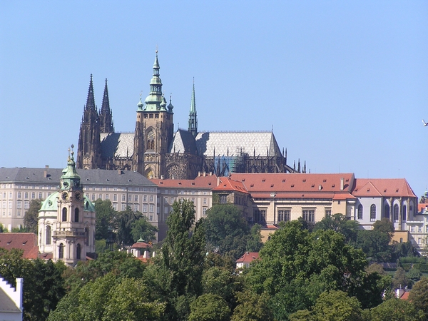 P8200226.JPG