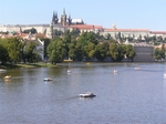 P8200227.JPG