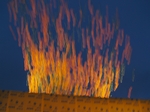 PB012509.JPG