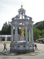 CIMG5585.jpg