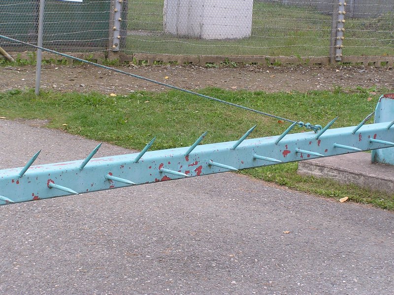 P9140164.JPG