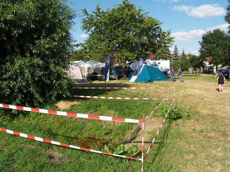 P7189161.JPG