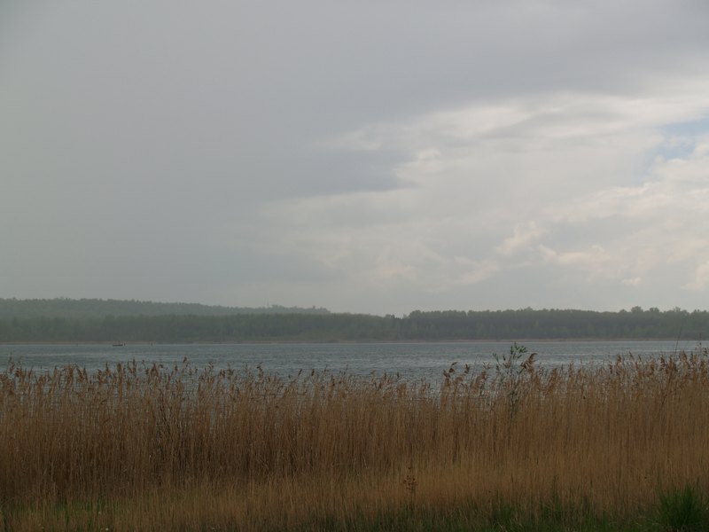 P5098251.JPG