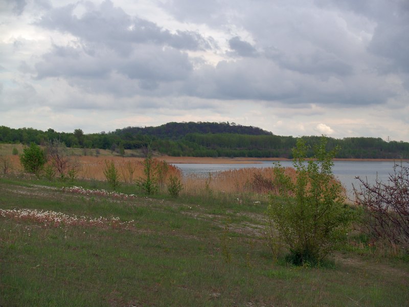 P5098269.JPG