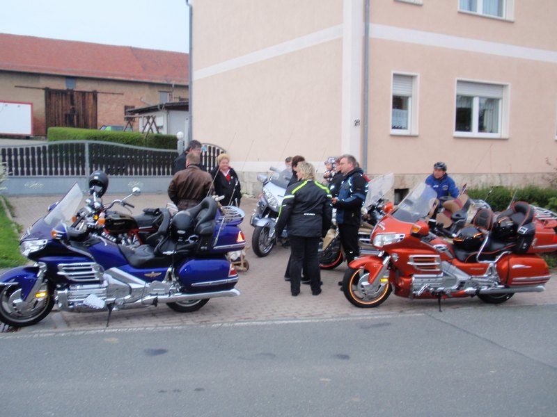 2013fuchs-001.JPG