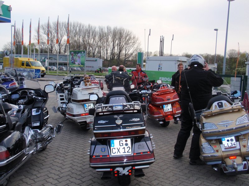 2013fuchs-002.JPG