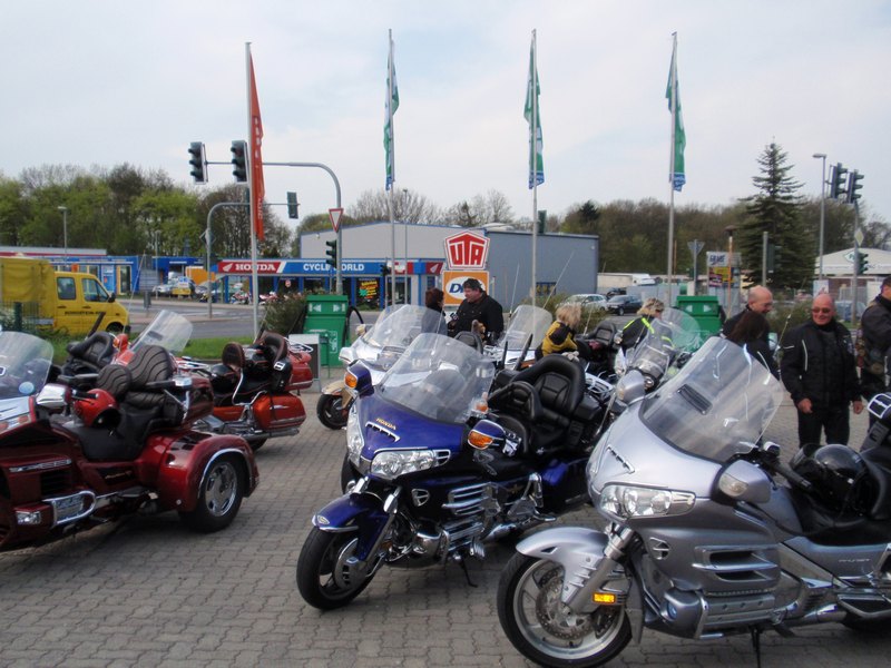 2013fuchs-003.JPG