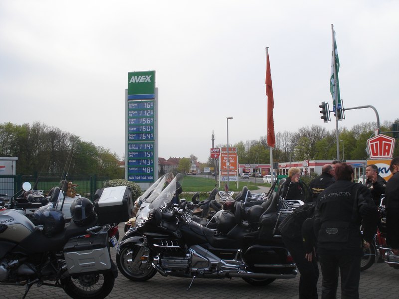 2013fuchs-009.JPG