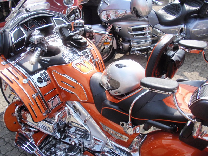 2013fuchs-023.JPG