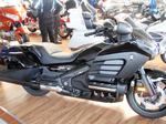 2013fuchs-016.JPG
