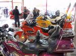 2013fuchs-019.JPG