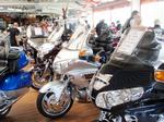 2013fuchs-020.JPG