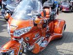 2013fuchs-022.JPG