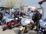 2013fuchs-026.JPG