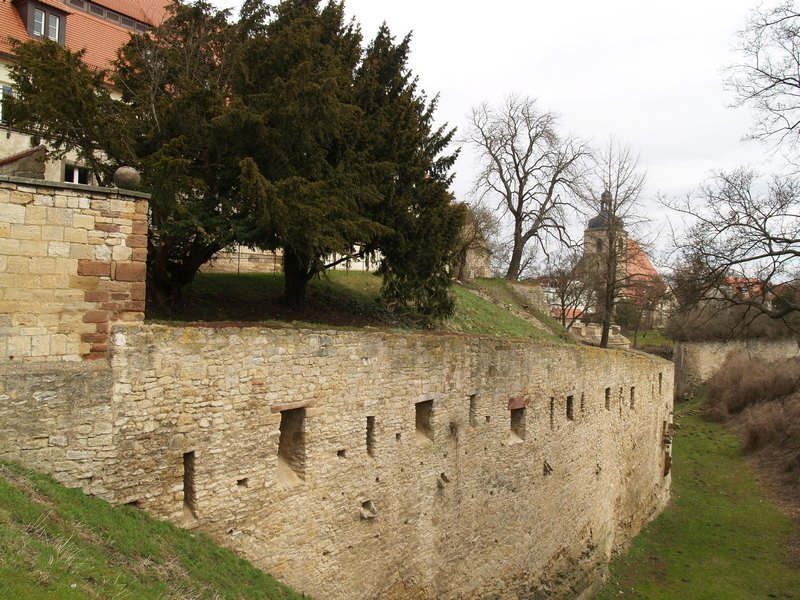 P4147812.JPG