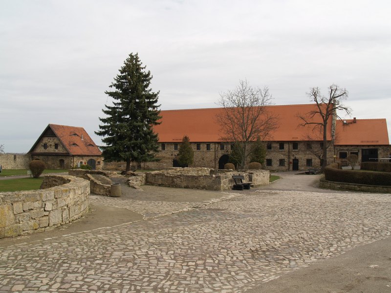 P4147819.JPG