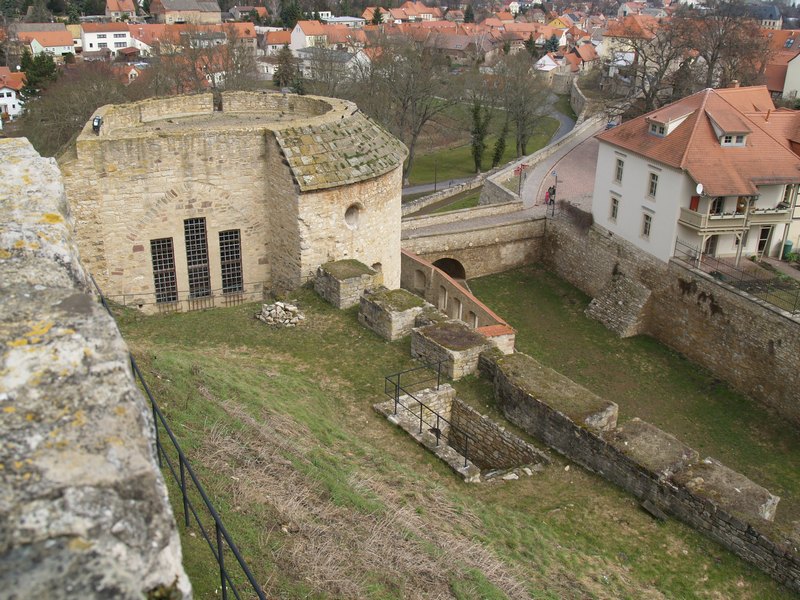P4147823.JPG