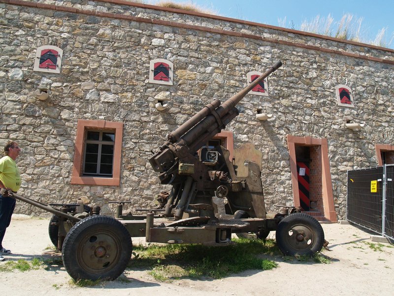 P7183726.JPG