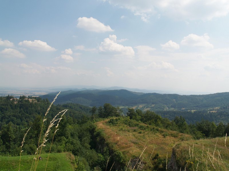 P7183749.JPG