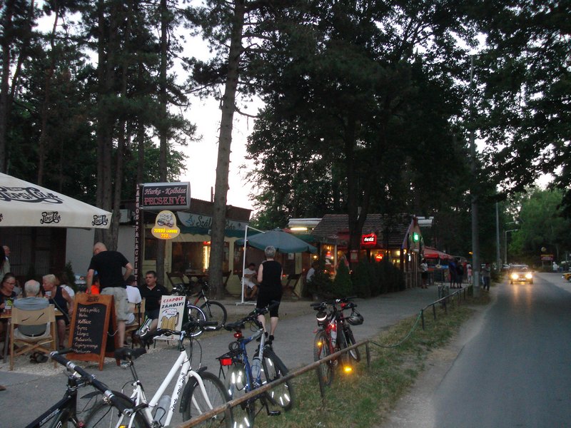 DSC08667.JPG