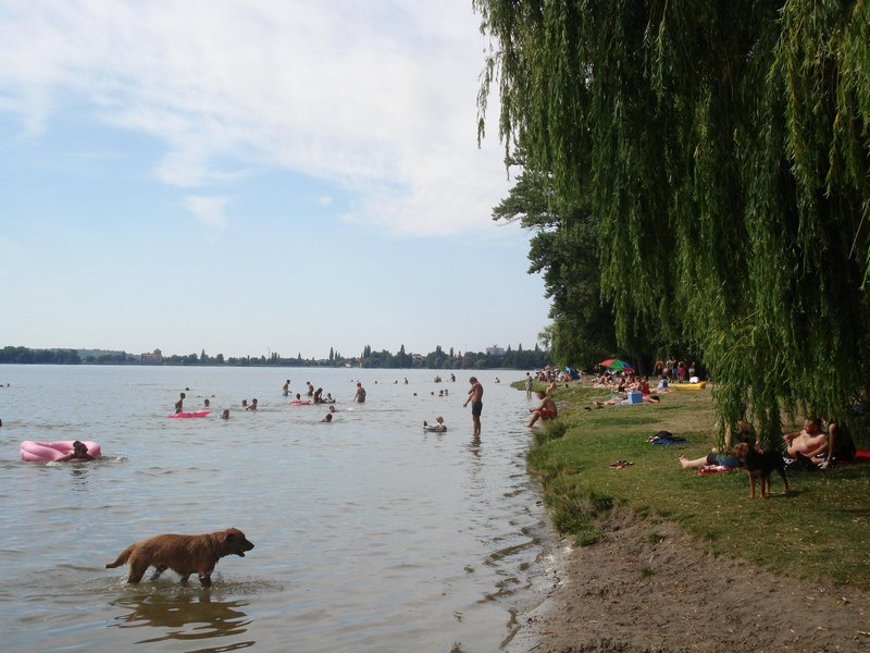 DSC08704.JPG