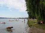 DSC08704.JPG