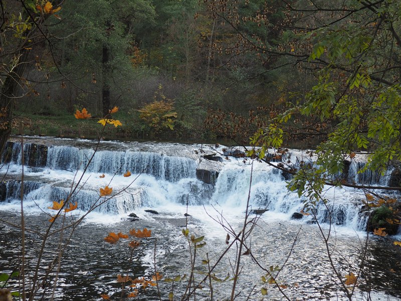 PA310094.JPG