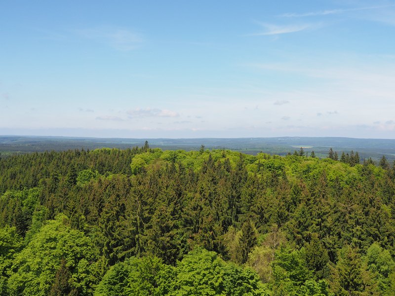 P5250059.JPG