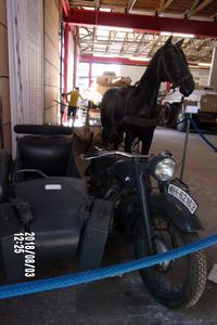 IMG_3110.JPG