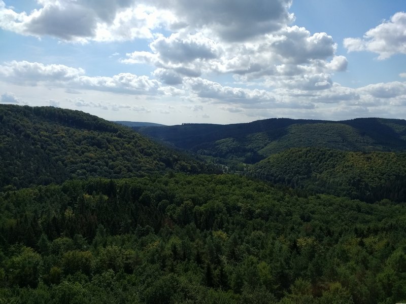 IMG_20180901_130318569.jpg