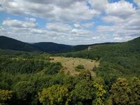 IMG_20180901_130339753_BURST001.jpg