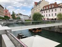 P6290094d.JPG