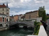 P6290105a.JPG