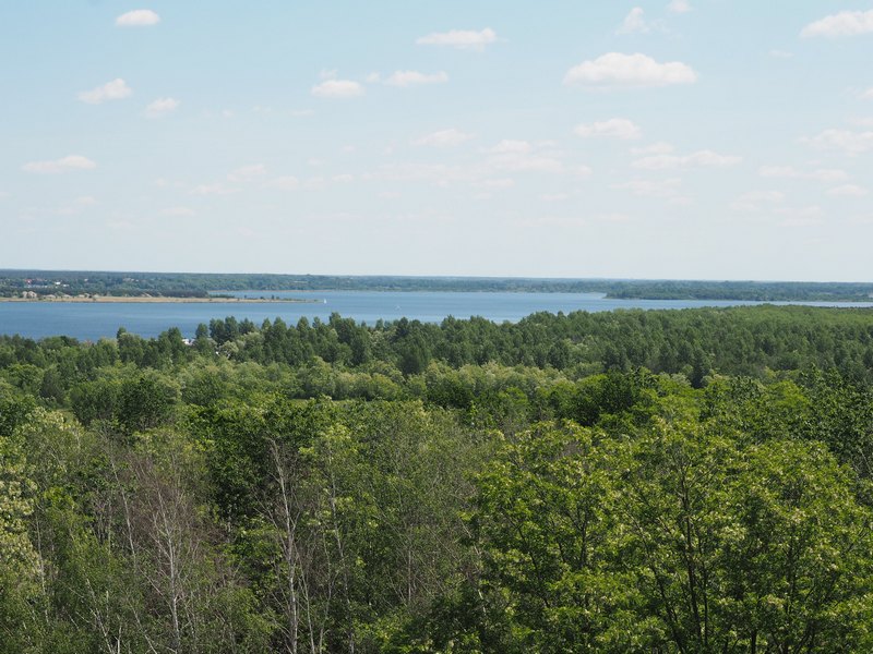 P1010057.JPG