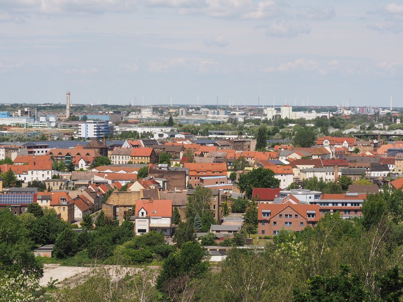 P1010064.JPG