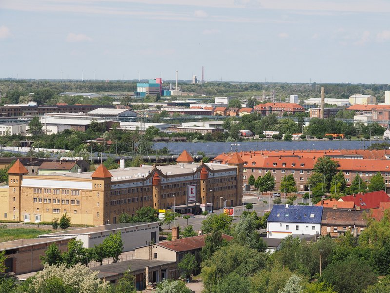 P1010067.JPG