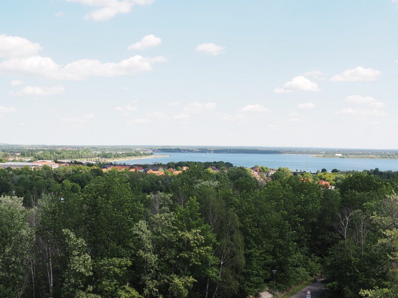 P1010075.JPG