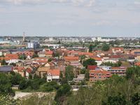 P1010064.JPG